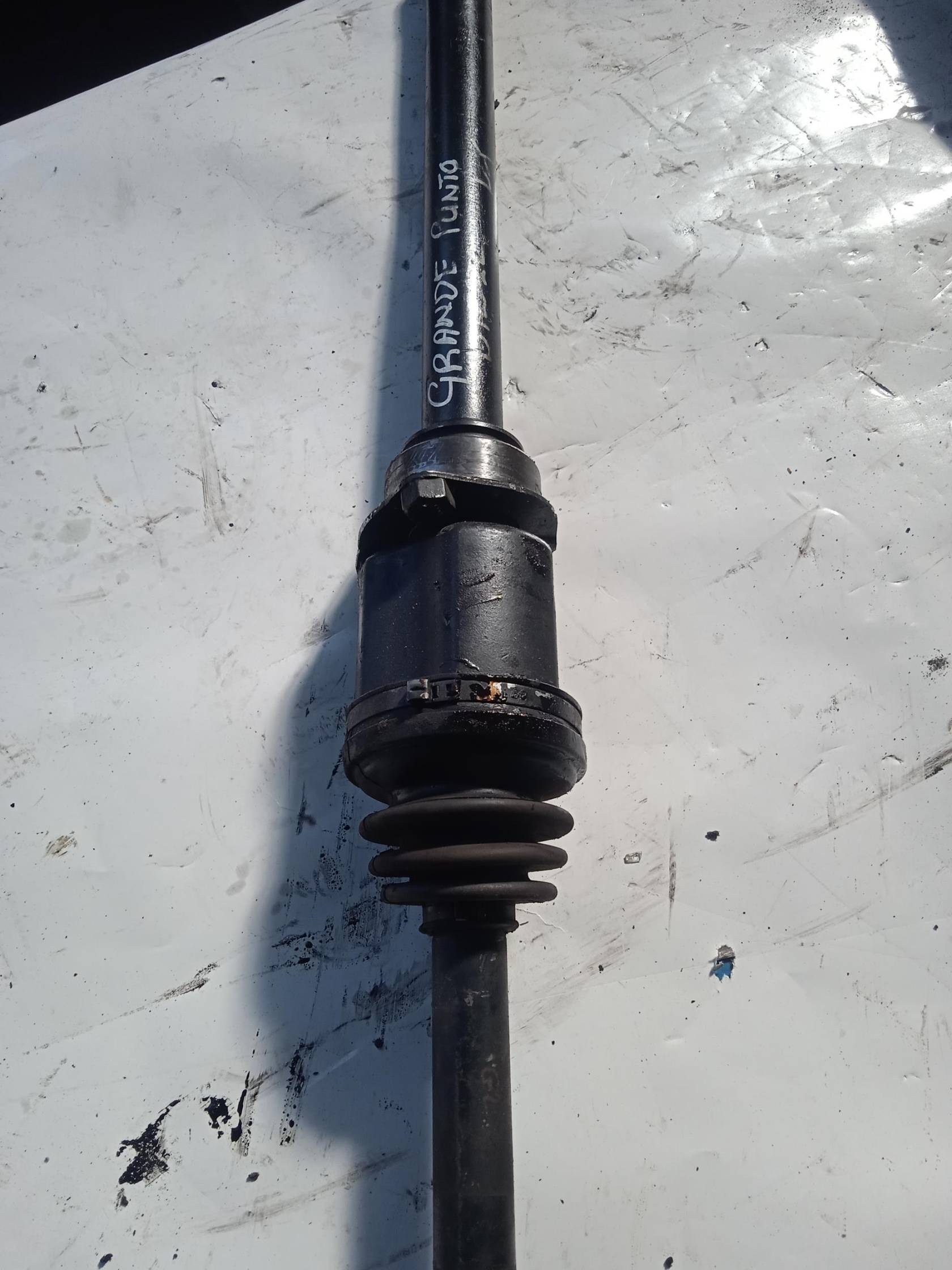 Semialbero ant. compl. dx.